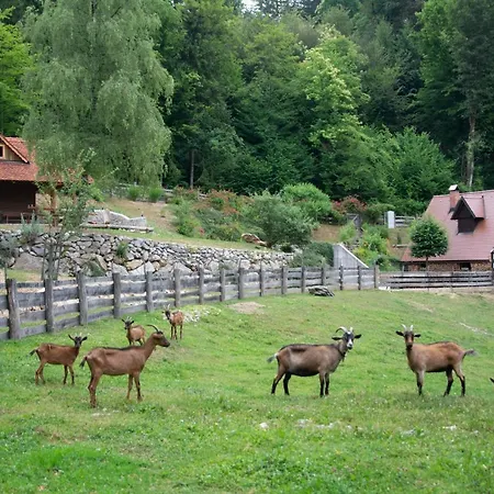 Apartma Kasca Domzale Exterior photo
