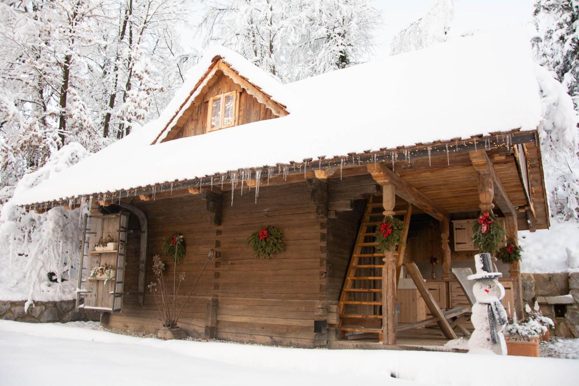 Apartma Kasca * Domzale